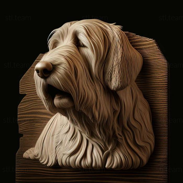 3D model The Great Vendean Basset Griffon dog (STL)